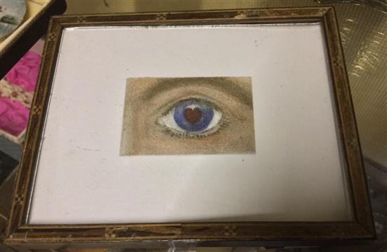 Eye miniature